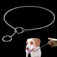 Hundeausbildung Halsbänder Schlange P Slip Choke Collar Metal Kette für Größe XS S M Große XL Hunde