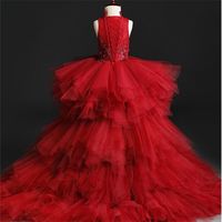 Appliques Tulle Kids Party Evening Gowns Long Trailing Lace Ball Gown Flower Girl Dresses For Weddings First Communion Clothes 220121