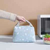 Lunch Bag Insulated Cold Picnic Cartoon Carry Case Thermal Portable Bento Storage Bags