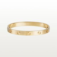 Love Screw Bracelet Designer Bracelets Bangle Luxury Jewelry Women Accessories Titanium Steel Alloy Gold-plated Never Fade Not cuff bangle