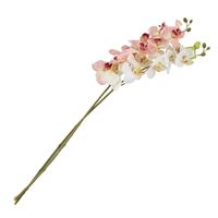 Flores decorativas grinaldas 2 galhos borboleta orquídea flor artificial flor para decoração de casa casamento - cores