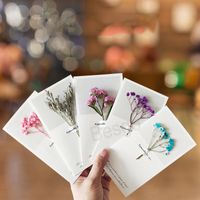 Flowers Greeting Cards Gypsophila Dried Flower Blessing Greetings Card Wedding Birthday Party Invitations Valentine's Day Gift BH5827 TYJ