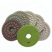 10 Pieces set 7 Inch D180mm Dry Polishing Pads 7mm Thickness...