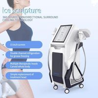 Máquina de congelación de grasa adelgazante del cuerpo para la venta 360 Cryolipólisis