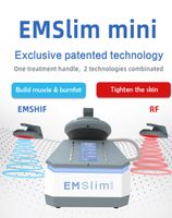Emslim 미니 HiEMT RF 바디 빌드 슬리밍 기계 EMS 전자기 근육 자극 지방 굽기 2 년 보증 가정용