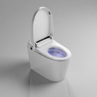Banyo tankı-daha az elektrikli otomatik akıllı klozet uzaktan kumanda ile akıllı wc bide