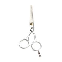 Hair Scissors Stainless Steel Regular Cutting Hairdressing S...
