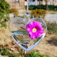 Jarrones Londa en forma de corazón en forma de vidrio jarrón de jarrón con botella terrario contenedor planta mesa de flores boda jardín decoración