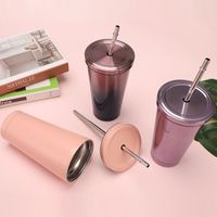 500ml Stainless Steel Water Bottle Tumblers With Metal Straw...