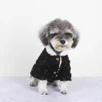 الأزياء كودري كلب معطف الكلب جديد الخريف الشتاء الحيوانات الأليفة الدافئة سترة تيدي شنافزر تشيهواهوا زي الحيوانات الأليفة