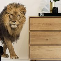 Autocollants muraux créatifs autocollants lion adolescent adolescent décor de chambre à coucher esthétique du bureau à domicile décalcomanies auto-adhésives