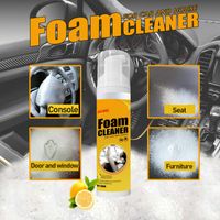 Care Products 30ml Multi- Purpose Car Interior Foam Cleaner R...