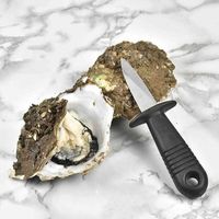 Poignée de l'huître tisser Shopping Shocker Open Shell Tool Oysters Oysters Saint-Jacques de fruits de mer Couteau à huîtres Multifonction Utilitaire Outils de cuisine