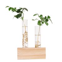 Vazolar Kristal Cam Test Tüp Vazo Çiçekler Bitkiler Hidroponik Ekici + Ahşap Standı Bir Çiçek Ev Dekorasyonu ile Dekore