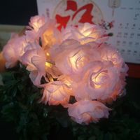 Día de San Valentín Jardín Al Aire Libre Luces de Cadena de Flores Fiesta en Casa 30 Led 4,5 m / 15 Pies Luces de Hadas para Interior Boda Cadena de Luz Rosa Rosa Blanco y Rosa