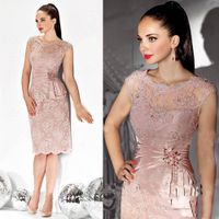 Blush Pink Full Lace Mother Of The Bride Dresses Plus Size Wedding Guest  Dress Sheath Knee Length Mothers Outfits Casual Wear