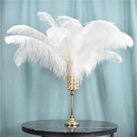 50Pcs White Ostrich Feather for Crafts Wedding Decoration Na...