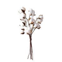 PCS fiori secchi testa 30 cm cotone stelo floreale rami decorazione artificiale ghirlande decorative