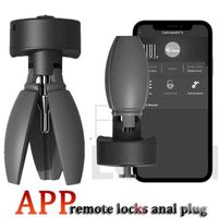 QIUI Pear Flower Anal Plug Chastity Belt APP Remote Control Lock Butt Devic...