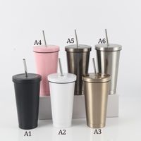 17 Unzen isolierte Tassen mit Deckeln und Strohstoffen Edelstahl Doppelvakuum-Kaffee-Tumbler-Tasse Pulverbeschichtete Reise-Becher für Home Office-Party