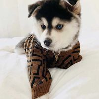 2021 겨울 개 옷 f 고양이 조끼 작은 스웨터 Luxurys 디자이너 PET 공급 의류 셔츠 강아지 코튼 니트 카디건 D21101211Z