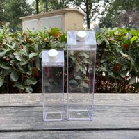 Magazzino statunitense 17 once acrilico trasparente bicchieri BPA BPA BPA FREE tazze di latte coperchi paglia doppia parete in plastica a doppia parete sottovuoto isolante bottiglie d'acqua per viaggi portatile