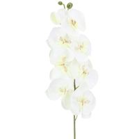 10st / mycket livlig konstgjord fjäril orkidé blomma silke phalaenopsis bröllop hem diy dekoration falska blommor 1464 v2