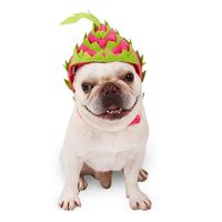 개 의류 애완 동물 의상 고양이 헤드 기어 할로윈 드래곤 과일 디자인 모자 Xmas 축제 생일 테마를위한 조정 가능한 모자