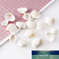 Doğal deniz kabukları süslemeleri akvaryum dekorasyon deniz plaj kabukları el sanatları ev dekor doğal beyaz tarak 30 adet / torba fabrika fiyat yüksek kaliteli