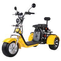 Electronics CityCoco Трехколесный скутер с трехколесным велосипедным мотоциклом 65 км 20AH Мотоцикл для взрослых EEC/COC Motos Electricas Para Adulto