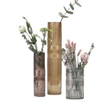 Vases Grand Vase Vase Transparent Ornements Nordic Simple Hydroponics Bureau Salon Fleur Arrangement Décoration Cadeau