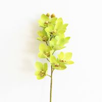 4P الاصطناعي اللاتكس cymbidium الأوركيد الزهور 10 رؤساء ريال لمسة نوعية جيدة phalaenopsis الأوركيد لحضور الزفاف زهرة الزخرفية 2188 v2
