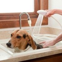 Splash de poche Baignoire de douche lavabo Fixation de robinet de laviste Lave-sprinkler Head Kit de pulvérisation de pulvérisation pour animaux de compagnie