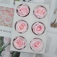 6 pz / scatola di alta qualità conservato fiore rosa 5-6 cm giorno di madri regalo di feritoia di feritoia Eternal Life Flower Valentine Wedding Materialy Q0826
