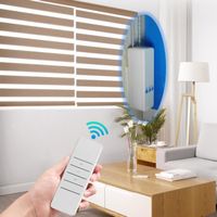 Smart Home Control WiFi Tuya Chain Curtain Motor Alexa/Google Roller Blinds von Mobile/Fernbedienung in Batterie