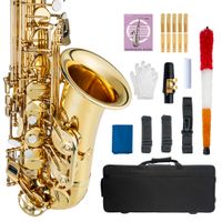 NAOMI Alto Saxophone E Flat Gold Lacquer SAX NSA- 802 Saxopho...