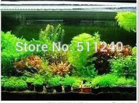 Freies Verschiffen Heißer Verkauf 300 stücke Aquarium Grassamen (Mix) Wasser Wasserpflanzensamen (15 Arten) Familie Easy Plantsamen Samen