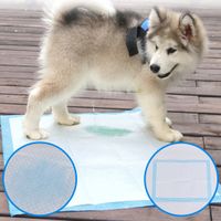 Husdjur blöja engångshund poop väska hund potty super absorberande träning hund blöja hälsosam rengöringsplatta valpar träningsmatta