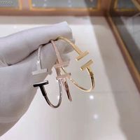 Designer Brand gold bangles tennis bracelet 316L Titanium st...