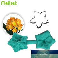 Flower Petal Silicone Mould With Stainless Steel Cookie Cutt...