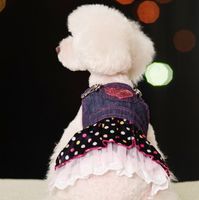 Haustier Home Gardenlovely Casual Sweet Niedliche Hunde Denim Jean Kleid Kleidung Herz Print Haustiere Puppy Rock Kleidung Kleidung Hundebedarf Drop de