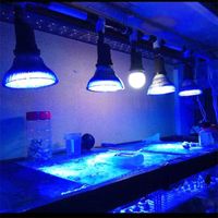 Żarówki 54W Pełny spektrum Aquarium Światła LED E27 38 Rafa koralowa Używana Roślina Gruba Lampa do glonów Sumpu Zbiornik Ryby Refugium D30