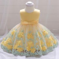 Bebek Kız Elbise Doğan Çiçek Nakış Prenses İlk 1. Yıl Doğum Günü Partisi Karnaval Kostüm Kız için Elbiseler