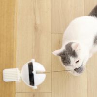 고양이 행동 훈련 개 낚시 장난감 IQ 전기 자동 대화 형 애완 동물 고양이 요요 공