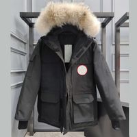Kış Parka Aşağı Palto Tasarımcı Hoodie Klasik Kirpi Ceket erkek kadın Giyim Kapşonlu Giyim Taze Dış Giyim Yelek Kazak Kurt Kürk Kazak Rüzgarlık