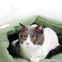 Lits de chat Lit de feuilles de meuble avec fond de fond antidérapant en coton et lin lavable PAD de couchage pour animaux de compagnie automne hiver chaud sac respirant chaud