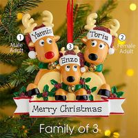 2021 Resina Elk Famiglia di 2 3 4 5 6 Nome Ciondoli Decorazioni natalizie Cute Deer Deter Holiday Inverno Regali Xmas Tree Ornaments DHLA40