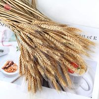 Decorative Flowers & Wreaths Natural Dried Flower Wheat For Wedding Party Home Decor Artificial Plant Wall Grass Outdoor Garden