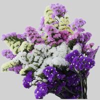 Kristal Çim Doğal Taze Kurutulmuş Korunmuş Beni Unutma Çiçekler, Gerçek Sonsuza Kadar Sevgilisi Çimenler Şube Ev Masa Dekorasyon