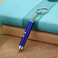 Mini Cat Red Laser Pointer Pen Key Chain Funny LED Light Pet Cat Toys Keychain Pointer Pen Keyring For Cats Training Play Toy